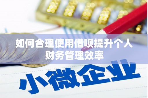 睢宁如何合理使用借呗提升个人财务管理效率