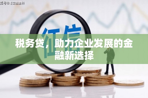 睢宁税务贷，助力企业发展的金融新选择