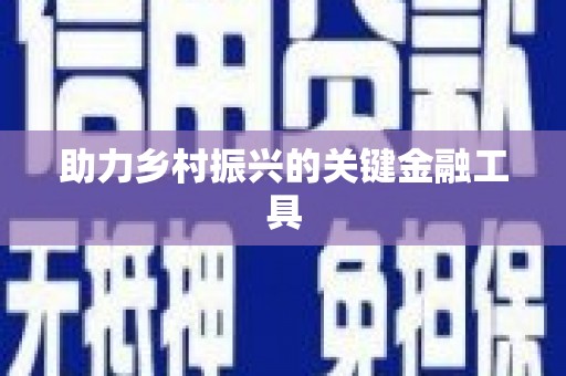 睢宁助力乡村振兴的关键金融工具