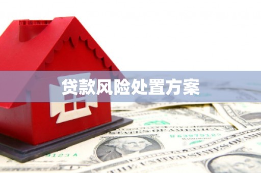 睢宁贷款风险处置方案