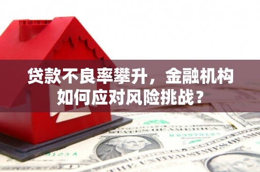 睢宁贷款不良率攀升，金融机构如何应对风险挑战？