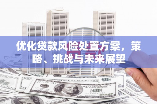 睢宁优化贷款风险处置方案，策略、挑战与未来展望