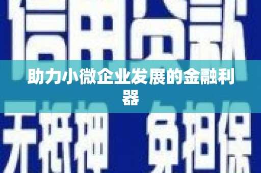 睢宁助力小微企业发展的金融利器