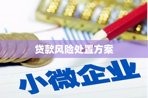 睢宁贷款风险处置方案