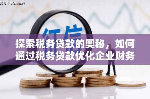 睢宁探索税务贷款的奥秘，如何通过税务贷款优化企业财务