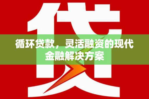 睢宁循环贷款，灵活融资的现代金融解决方案