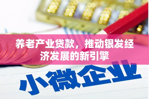 睢宁养老产业贷款，推动银发经济发展的新引擎