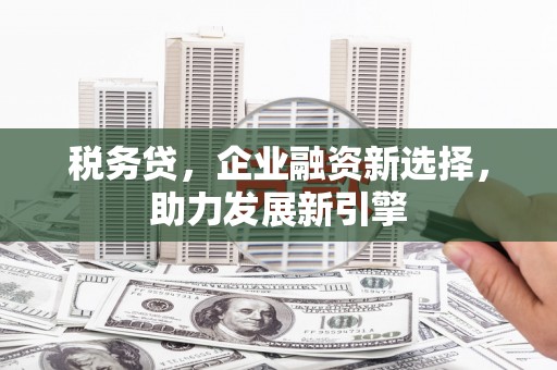 睢宁税务贷，企业融资新选择，助力发展新引擎