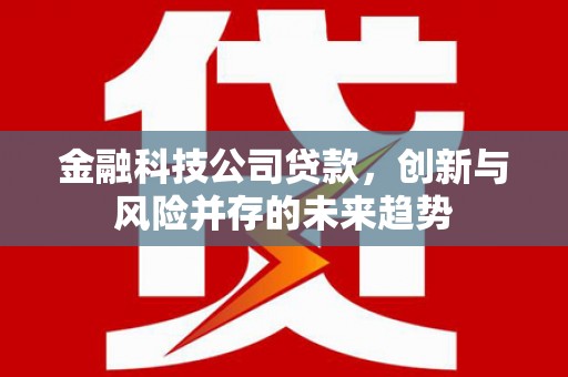 睢宁金融科技公司贷款，创新与风险并存的未来趋势
