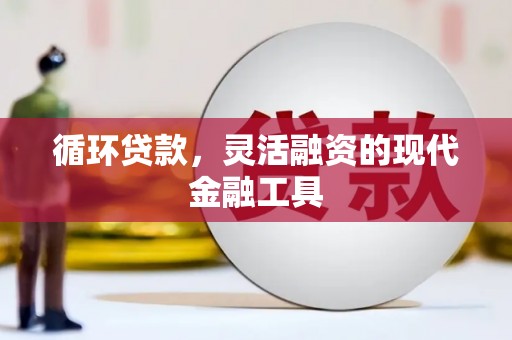 睢宁循环贷款，灵活融资的现代金融工具