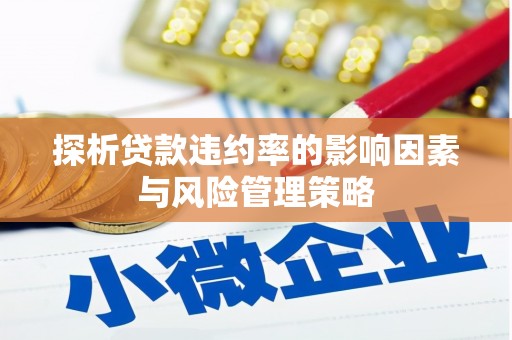 睢宁探析贷款违约率的影响因素与风险管理策略
