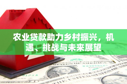 睢宁农业贷款助力乡村振兴，机遇、挑战与未来展望