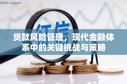 睢宁贷款风险管理，现代金融体系中的关键挑战与策略
