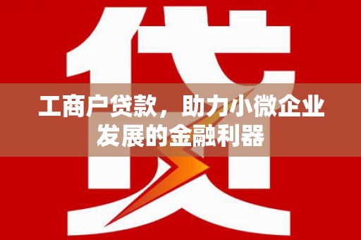 睢宁工商户贷款，助力小微企业发展的金融利器