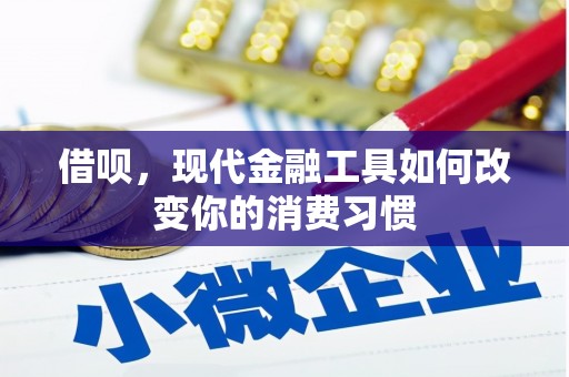 睢宁借呗，现代金融工具如何改变你的消费习惯