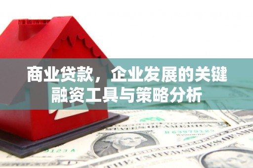睢宁商业贷款，企业发展的关键融资工具与策略分析