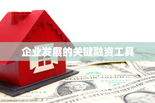 睢宁企业发展的关键融资工具
