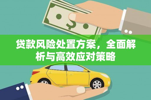 睢宁贷款风险处置方案，全面解析与高效应对策略