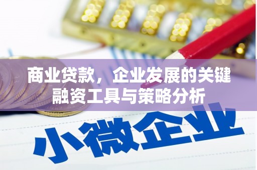 睢宁商业贷款，企业发展的关键融资工具与策略分析