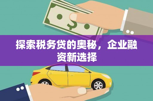 睢宁探索税务贷的奥秘，企业融资新选择