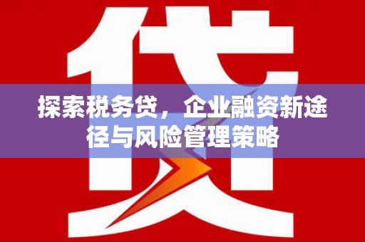 睢宁探索税务贷，企业融资新途径与风险管理策略