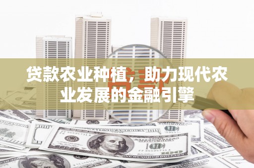睢宁贷款农业种植，助力现代农业发展的金融引擎