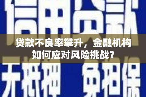 睢宁贷款不良率攀升，金融机构如何应对风险挑战？