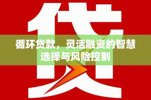 睢宁循环贷款，灵活融资的智慧选择与风险控制