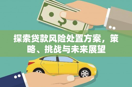 睢宁探索贷款风险处置方案，策略、挑战与未来展望