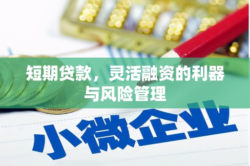 睢宁短期贷款，灵活融资的利器与风险管理