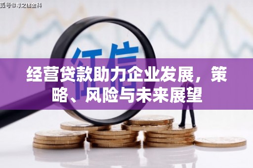 睢宁经营贷款助力企业发展，策略、风险与未来展望