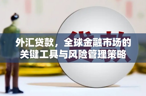睢宁外汇贷款，全球金融市场的关键工具与风险管理策略