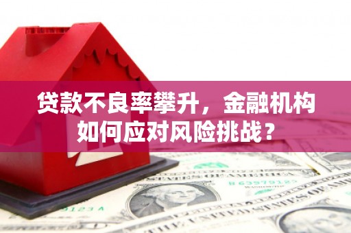 睢宁贷款不良率攀升，金融机构如何应对风险挑战？