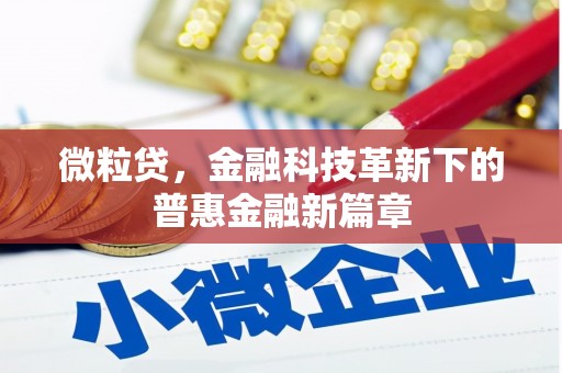 睢宁微粒贷，金融科技革新下的普惠金融新篇章