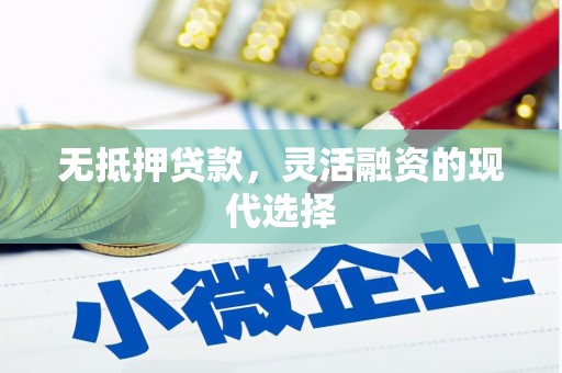 睢宁无抵押贷款，灵活融资的现代选择