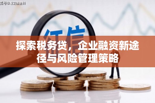 睢宁探索税务贷，企业融资新途径与风险管理策略