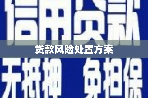 睢宁贷款风险处置方案
