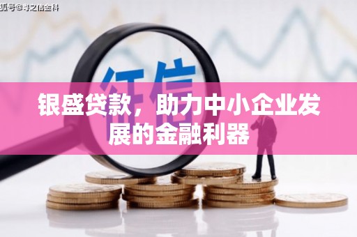 睢宁银盛贷款，助力中小企业发展的金融利器