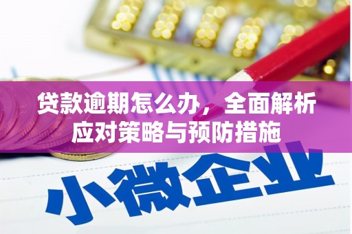 睢宁贷款逾期怎么办，全面解析应对策略与预防措施