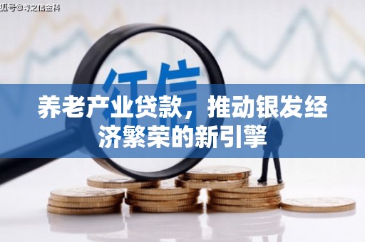 睢宁养老产业贷款，推动银发经济繁荣的新引擎