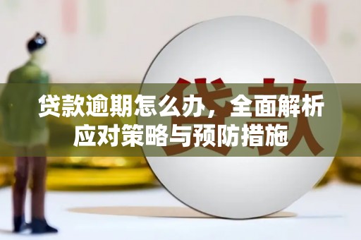 睢宁贷款逾期怎么办，全面解析应对策略与预防措施