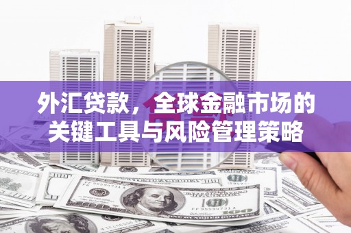 睢宁外汇贷款，全球金融市场的关键工具与风险管理策略