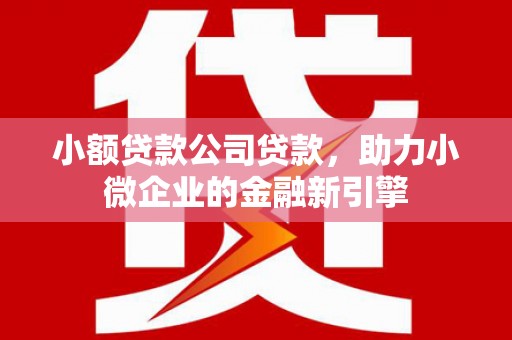 睢宁小额贷款公司贷款，助力小微企业的金融新引擎