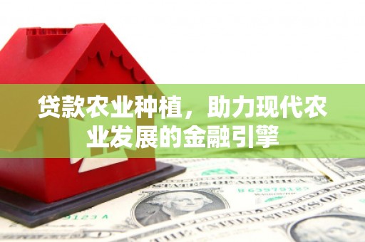 睢宁贷款农业种植，助力现代农业发展的金融引擎