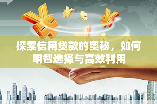 睢宁探索信用贷款的奥秘，如何明智选择与高效利用