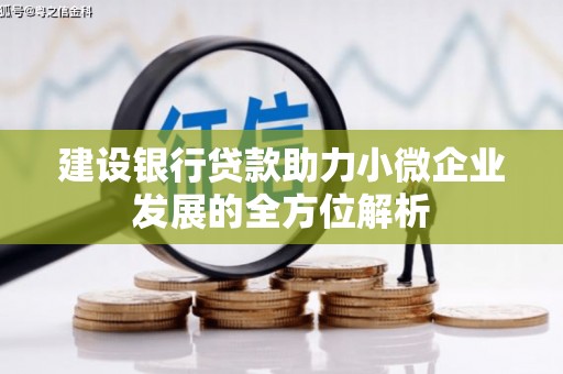 睢宁建设银行贷款助力小微企业发展的全方位解析