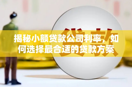 睢宁揭秘小额贷款公司利率，如何选择最合适的贷款方案