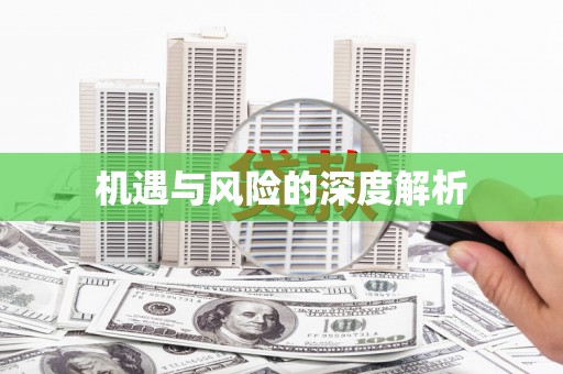 睢宁机遇与风险的深度解析