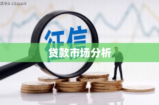 睢宁贷款市场分析