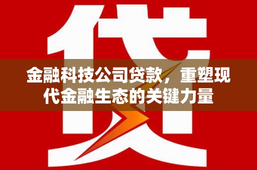 睢宁金融科技公司贷款，重塑现代金融生态的关键力量